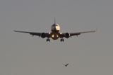 Boeing 737-8AS