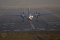Fokker 50
