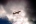 Embraer 170STD (ERJ-170-100STD)