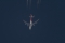 Boeing 747-438