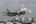 Boeing 737-505