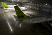 Boeing 737-53S