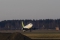 Boeing 737-36Q
