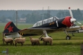 Yakovlev Yak-52TD