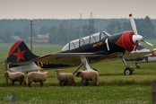 Yakovlev Yak-52TD