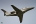 Raytheon 390 Premier I