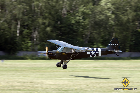 Piper L-4H Grasshopper (J-3C-65D)