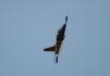 Aero L-39C Albatros