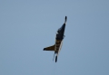 Aero L-39C Albatros