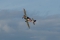 Yakovlev Yak-52