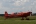 Extra EA-300L