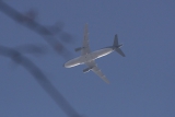 Airbus ACJ319 (A319-115/CJ)
