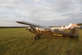 Piper L-4H Grasshopper (J-3C-65D)