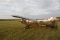 Piper L-4H Grasshopper (J-3C-65D)