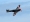 Supermarine 509 Spitfire T9C