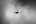 ATR ATR-42-500