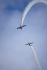 Sukhoi Su-31