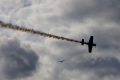 Sukhoi Su-31