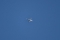 Antonov An-12B