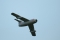 PZL-Mielec SBLim-2 (MiG-15UTI)