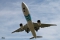 Boeing 777-36N/ER