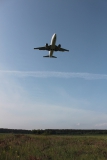 Boeing 737-36Q
