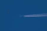 Airbus A380-861