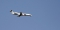 Embraer ERJ-145EP (EMB-145EP)
