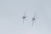 Sukhoi Su-31