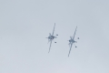 Sukhoi Su-31