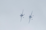 Sukhoi Su-31