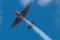 Extra EA-300SR