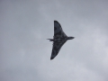Avro 698 Vulcan B2