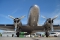 Douglas C-53C Skytrooper (DC-3A)