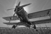 Antonov An-2