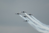Aero L-39C Albatros