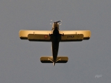 Antonov An-2