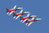 Northrop F-5E Tiger II