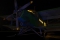Antonov An-2