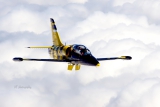 Aero L-39C Albatros
