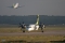 Bombardier DHC-8-402 Q400