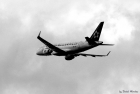 Skat. reitings: 738