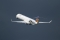 Bombardier CRJ-900LR (CL-600-2D24)