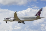 Boeing 787-8 Dreamliner