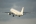 Airbus A320-211