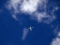 Fokker 50
