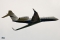Gulfstream Aerospace G-V-SP Gulfstream G550