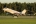 Bombardier Global Express (BD-700-1A10)