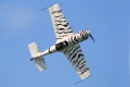 Sukhoi Su-26M