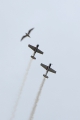 Yakovlev Yak-50
